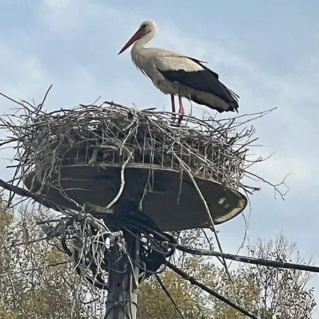 Makrygialos-atlantis