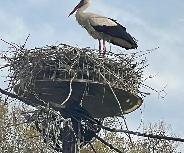 Makrygialos-atlantis